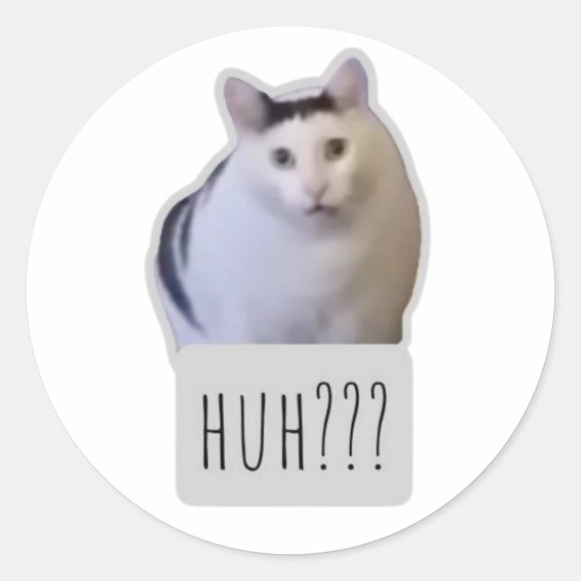 funny meme cat classic round sticker (Front)