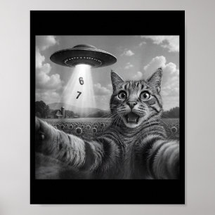 Funny Meme Cat Selfie Six Seven Retro Cat 67 Anima Poster