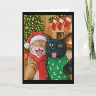 Funny Meme Cat Taking A Selfie Christmas Xmas Ligh Card
