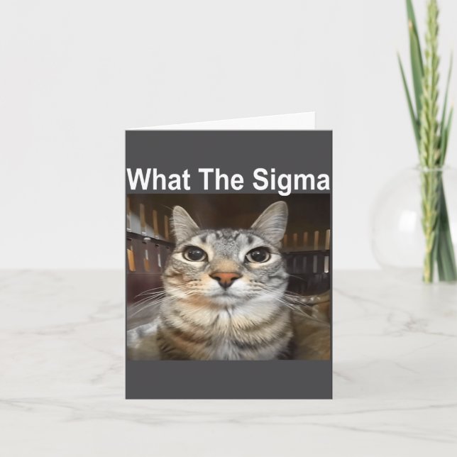 Funny Meme Cat What The Sigma Cute Cat Meme Quote  Card (Front)