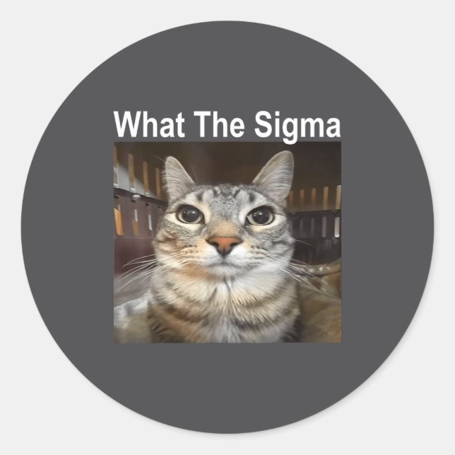 Funny Meme Cat What The Sigma Cute Cat Meme Quote  Classic Round Sticker (Front)