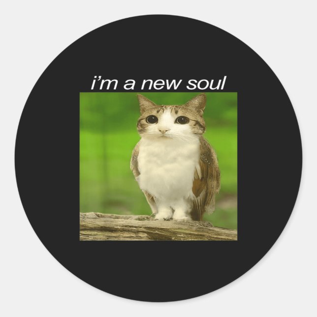Funny Meowl Cat Owl Brainrot Cursed Internet Silly Classic Round Sticker (Front)