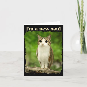 Funny Meowl Meme, Cat Owl Meme Brainrot Gen Alpha  Card