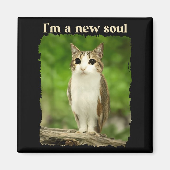 Funny Meowl Meme, Cat Owl Meme Brainrot Gen Alpha  Magnet (Front)