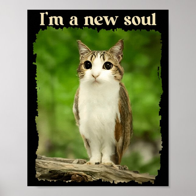 Funny Meowl Meme, Cat Owl Meme Brainrot Gen Alpha  Poster (Front)