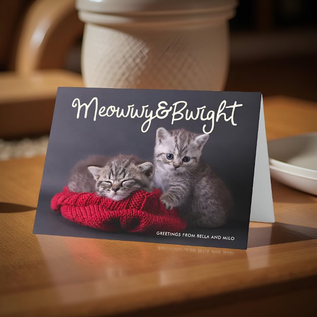 Funny Meowwy and Bwight Holiday | Photo Greeting (Creator Uploaded)