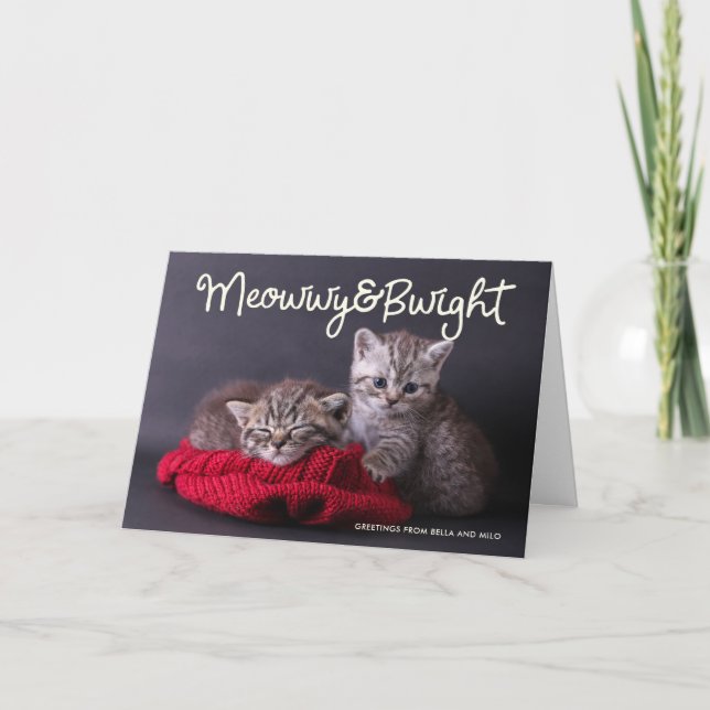 Funny Meowwy and Bwight Holiday | Photo Greeting (Front)