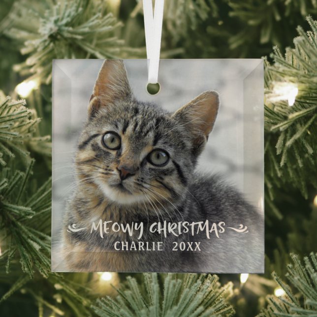 Funny MEOWY CHRISTMAS Cat Photo Glass Ornament (Insitu)