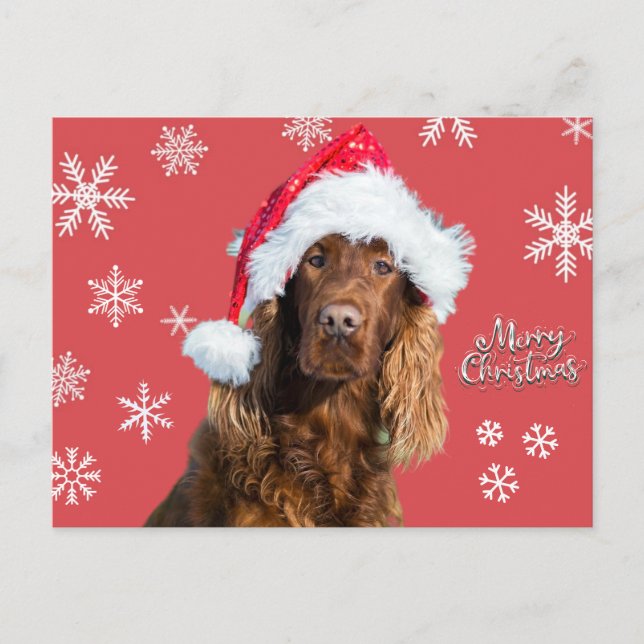 Funny Merry Christmas Dog in Santa's Hat Holiday Postcard (Front)