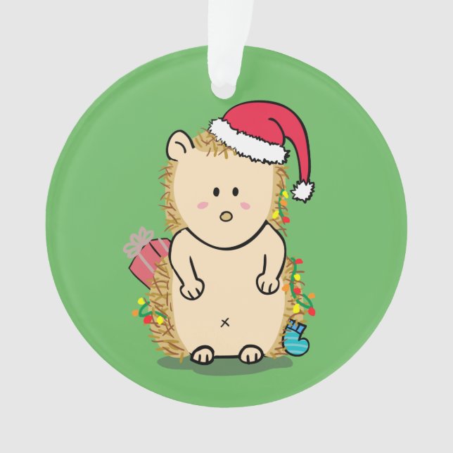 Funny Messy Merry Christmas Hedgehog Kids Room Ornament (Front)