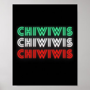 Funny Mexican Latino Chicano Cholo Cinco De Mayo C Poster