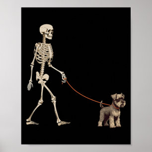 Funny Miniature Schnauzer Skeleton Dog Walking Poster