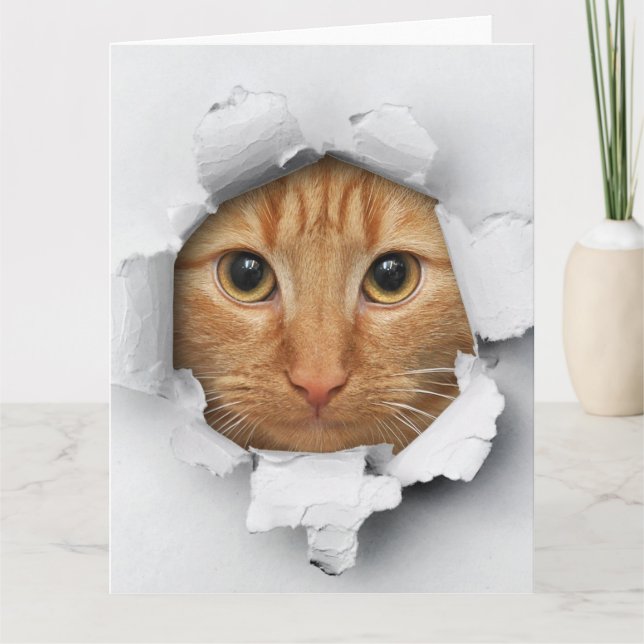 Funny Mischievous Cute Ginger Cat Card (Front)