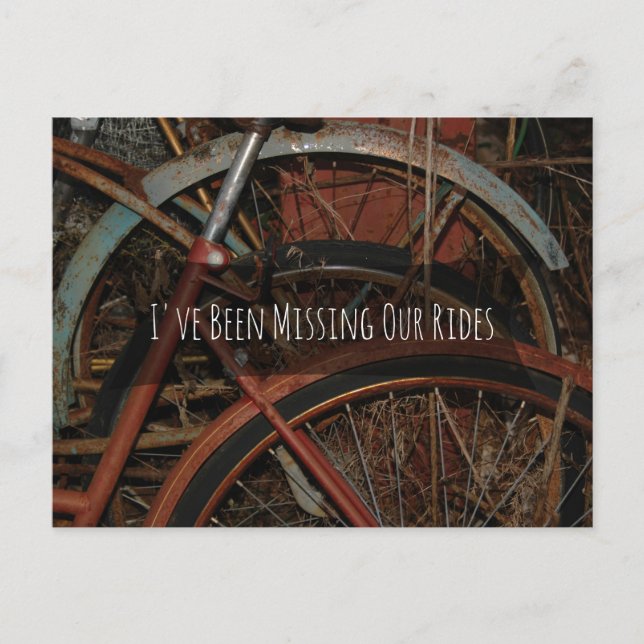 Funny "Missing Our Rides" Photo of Rusty Bicycles Postcard (Front)