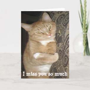 Funny missing you greeting card cat hug