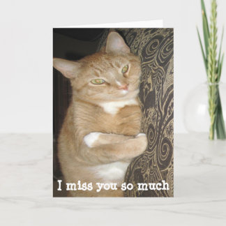 Funny missing you greeting card cat hug