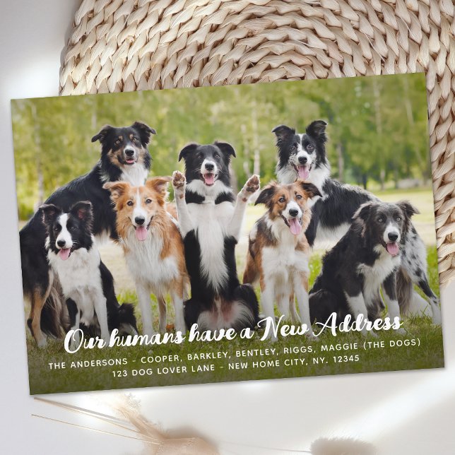 Funny Modern New Address Custom Pet Dog Photo Announcement (Creator Uploaded)
