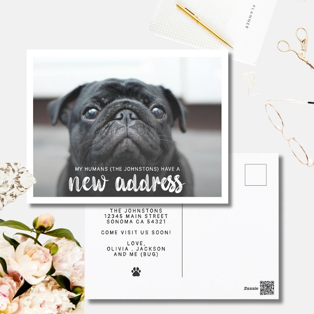 Funny Modern New Address Pet Dog Photo Postcard (Creator Uploaded)