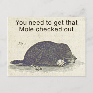 Funny Mole Greetings Card, Animal Birthday Humour Postcard