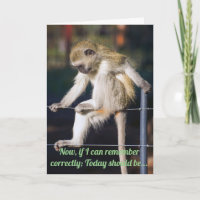 Funny Monkey birthday