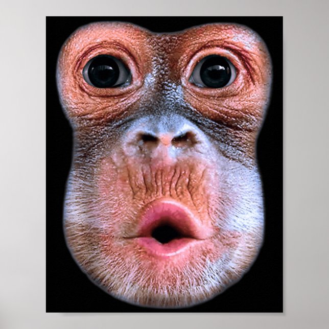 Funny Monkey Blowing Stomach Face, Monkey Blow Sto Poster (Front)