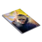 Funny Monkey Notebook