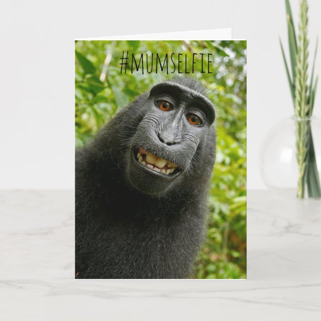 Funny Monkey Selfie Mother's Day Card (Front)