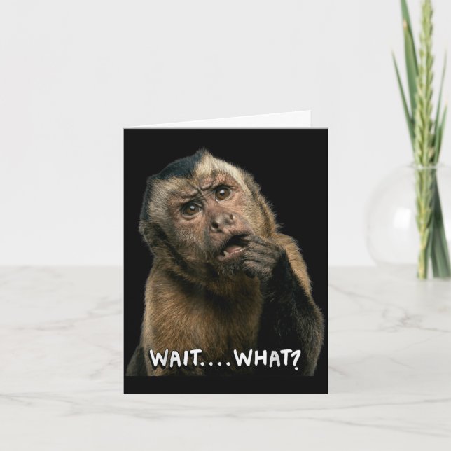 Funny monkey slang quote wait what meme cute card (Front)