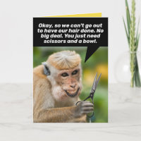 Funny Monkey With a Bad Hair Cut-Shelter In Place