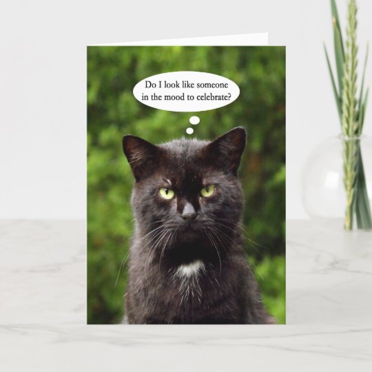 Funny Moody Black Cat Birthday Card Zazzle Ca