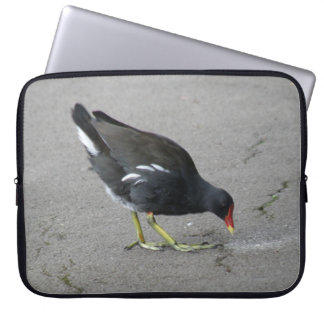 Funny Moorhen Take a Bow Laptop Bag