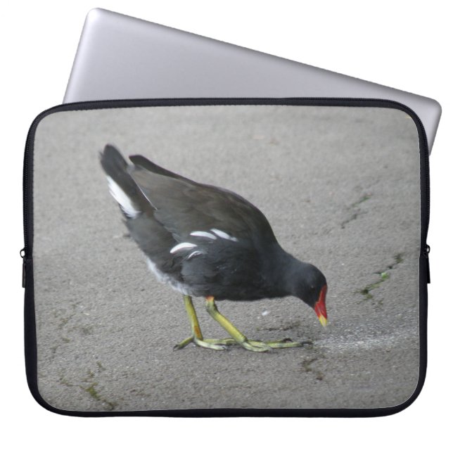 Funny Moorhen Take a Bow Laptop Bag (Front)
