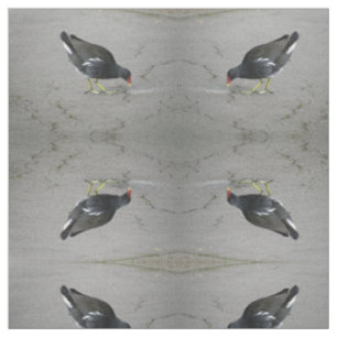 Funny Moorhern Take A Bow Patterned Animal Fabric