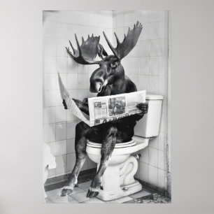 Funny Moose Bathroom Print Animals on Toilet Wall