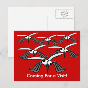 Funny Mosquitoes Flying Coming For a Visit Postcard