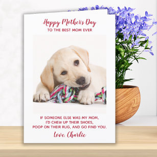 Funny Mothers Day Personalized Dog Mom Pet Photo Holiday Card