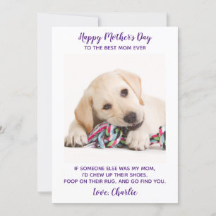 Funny Mothers Day Personalized Pet Photo Dog Mom  Holiday Card