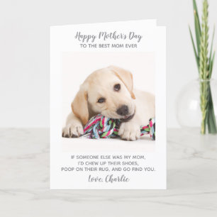 Funny Mothers Day Personalized Pet Photo Dog Mom  Holiday Card