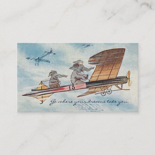 Funny Motivational Speaker Pilot Travel  Two-Sided Business Card (Front)