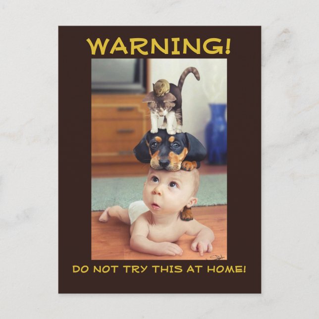 FUNNY: Mouse and Cat and Dog stacked up on Baby - Announcement Postcard (Front)