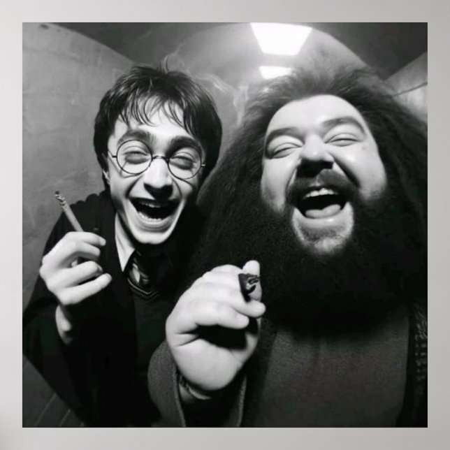 Funny movie bw  poster (Front)