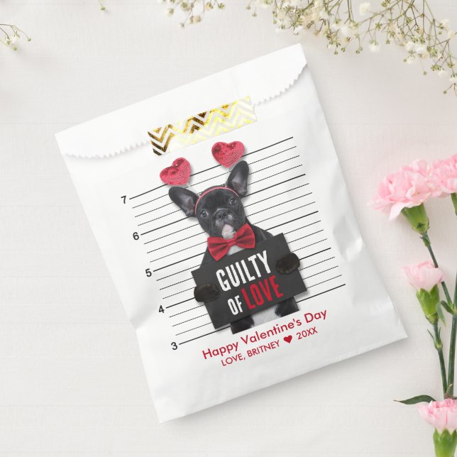 Funny Mugshot Guilty Love Dog Valentine's Day Favour Bag (Sealed)