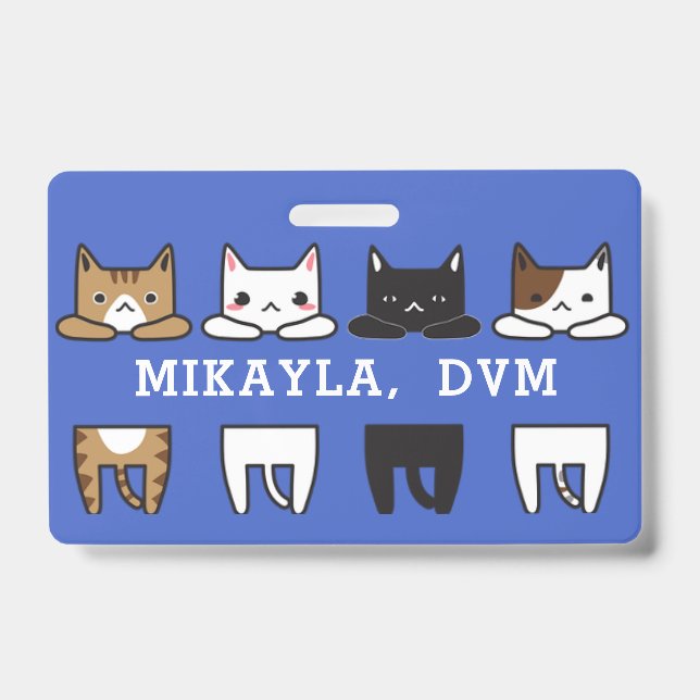 Funny Multicolor Cat Frame   Badge (Front)
