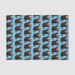 Funny musk ox cartoon illustration tissue paper