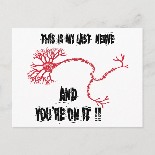 Funny My Last Nerve Postcard (Front)