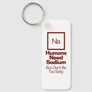 Funny Nerdy Quote/Saying Chemistry Joke Keychain