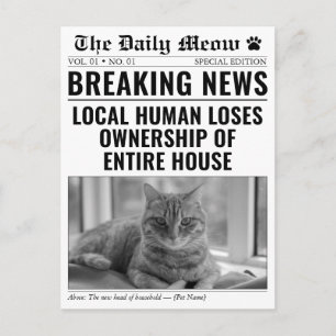 Funny New Cat Newspaper Breaking News Photo Announcement Postcard