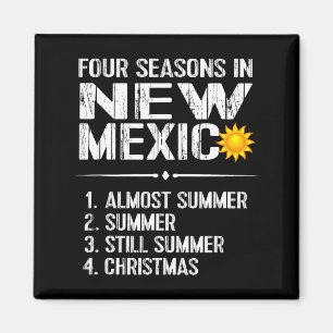Funny New Mexico Hot Weather Tee_ Four Seasons In Magnet