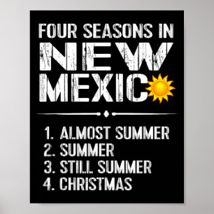 Funny New Mexico Hot Weather Tee_ Four Seasons In  Poster