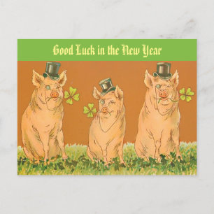 Funny New Year Pigs "Good Luck in the New Year" Postcard